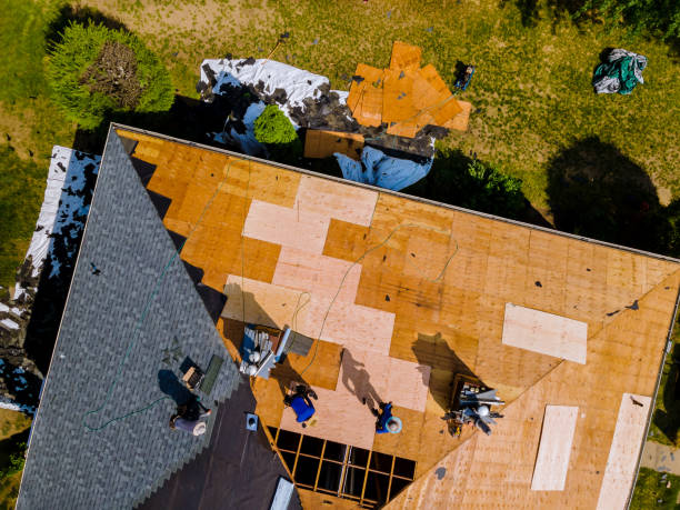 Best Roof Maintenance Services  in Russiaville, IN