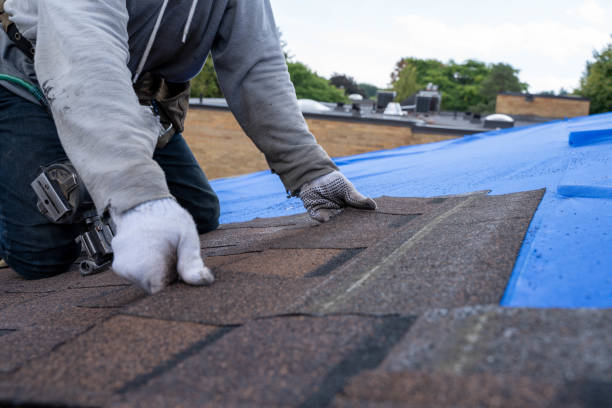 Best Local Roofing Companies  in Russiaville, IN