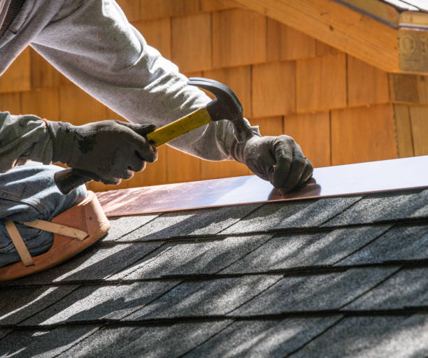 Best Roof Gutter Cleaning  in Russiaville, IN